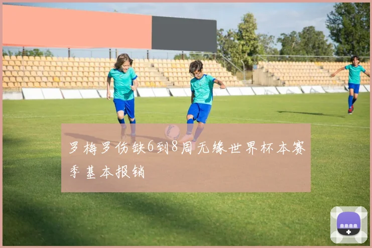 罗梅罗伤缺6到8周无缘世界杯本赛季基本报销